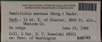 Image Associated With the Occurence